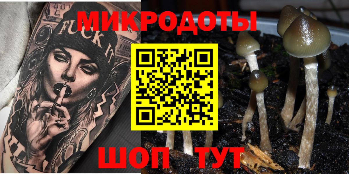 Йошкар-Ола  Галлюциногенные грибы мицелий  Вход с VPN 